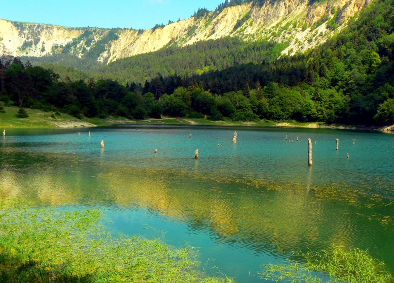 suluklugol-kampi